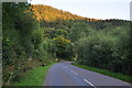 West Somerset : Exford Road