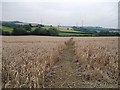 Path and Wheat Field at Calow Green