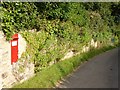 Wall and Victorian wallbox in Churchtown