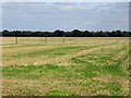 Power line across a field