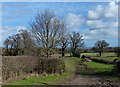 Fields near Hangingstone Farm