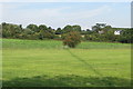 Footpath to Little Twycross