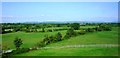 Fields near Tumpy Green