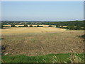 Stubble field near Little Cawthorpe