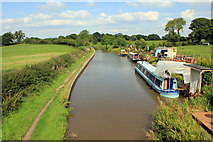 SJ8458 : The Macclesfield Canal from Bridge 86 by Jeff Buck