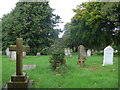 Early morning at Fairlee Road Cemetery (ii)