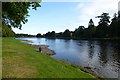 Fishing in the Ness