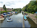 River Wey Navigation, Byfleet