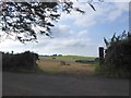 A few bales to be collected; field north of Beech Tree junction