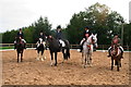 Kane farm Stables near Heckington