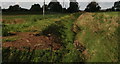 Remains of the Car Dike north of Littleworth Drove, NE of Heckington