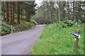 NN5400 : Forest road, Menteith Hills by Jim Barton