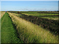 TF8245 : Norfolk Coast Path by Hugh Venables