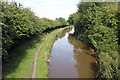 SJ8559 : The Macclesfield Canal from Bridge 81 by Jeff Buck