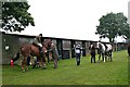 Irish Draught Breed Show 2015, Lincolnshire Showground