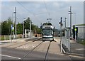 Clifton tram at Ruddington Lane