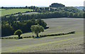 SU5228 : Fields near Chilcomb, Hampshire by Edmund Shaw