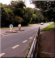 Pedestrian refuge, Thrupp