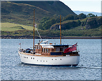 NM8530 : Chico in Oban Bay (2) by The Carlisle Kid