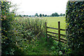SD6710 : Path across a field near Hodgkinson's Farm by Bill Boaden