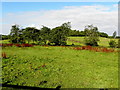 Edenacrannon Townland