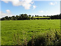 Gorey Townland