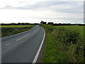 Along the A595 towards Drigg