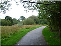 Path on Tottenham Marshes