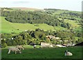 Upper Wharfedale View