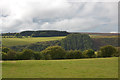 Fields and forestry above the Nenog valley