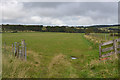 Field north of Penygarreg farm