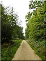 Costicles Inclosure, cycle trail