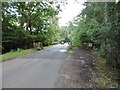 Woodlands, cattle grid