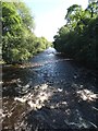 The River Wharfe from Denton Bridge