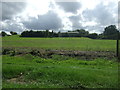 Farmland near Woolpit