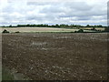 Field near Hollybush Farm