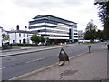 Hagley Road View