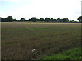 Stubble field near Potash Farm