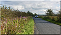 The road towards Higher Cross