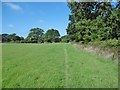 Netley Marsh, footpath