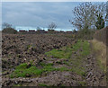 Muddy footpath towards Leicester Forest East