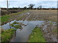 Muddy farmland on the edge of Leicester Forest East