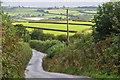 North Devon : Country Lane