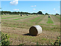 Field with straw bales