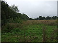 Farmland near industrial estate