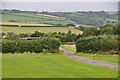 North Devon : Countryside Scenery