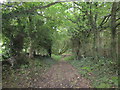 Footpath to Buckoak