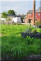 Cullompton : Grassy Field