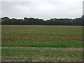 Farmland near Collingsford Farm