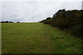 Coastal path towards South Thorness Farm